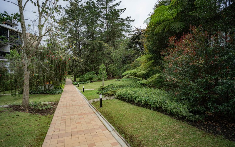 Suite Exclusiva en Fizebad, El Retiro – Lujo, Tranquilidad y Seguridad