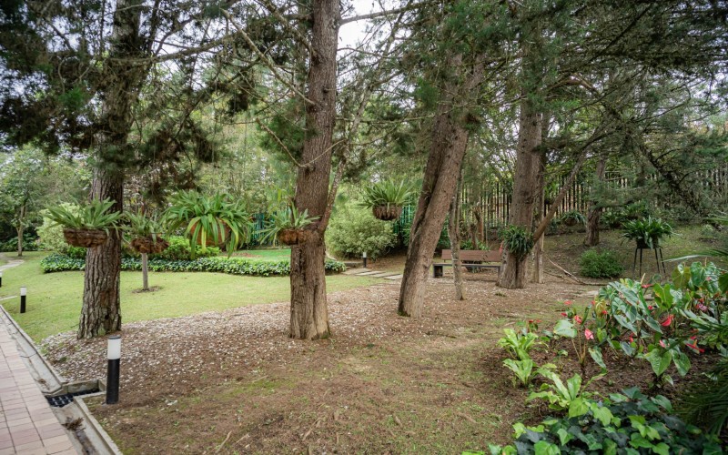 Suite Exclusiva en Fizebad, El Retiro – Lujo, Tranquilidad y Seguridad