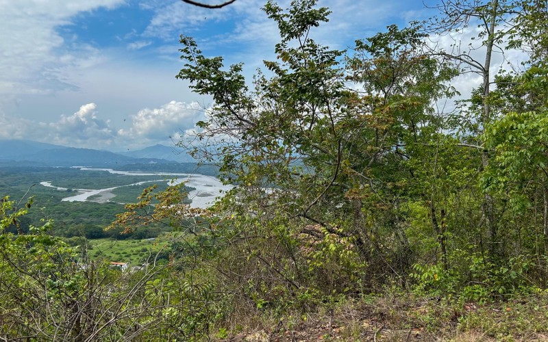 Land for Sale in Olaya