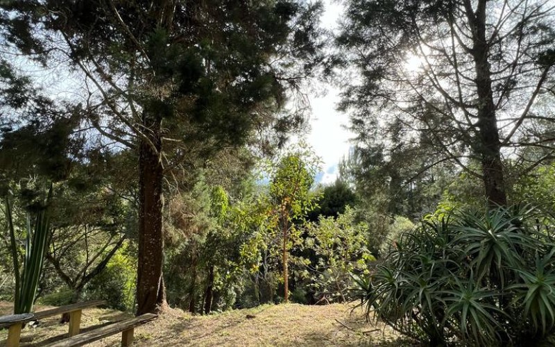 Terreno independiente en Guarne