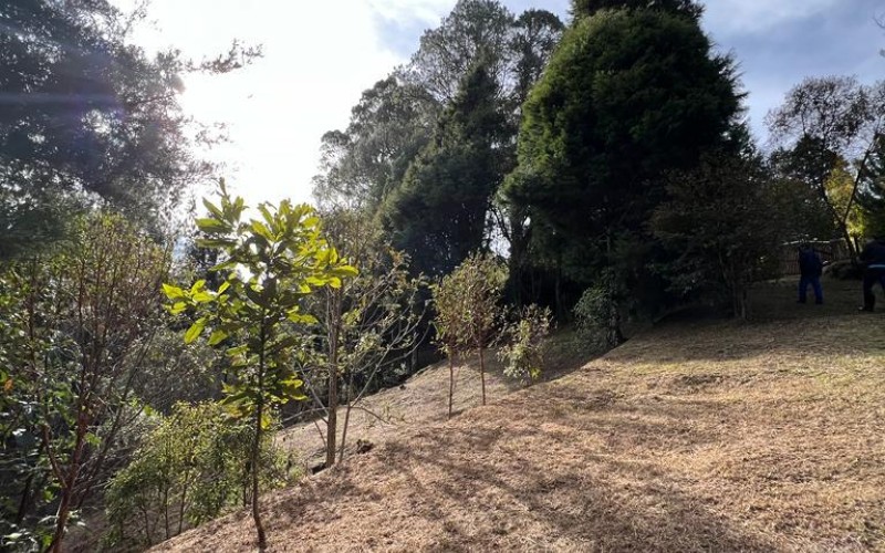 Terreno independiente en Guarne