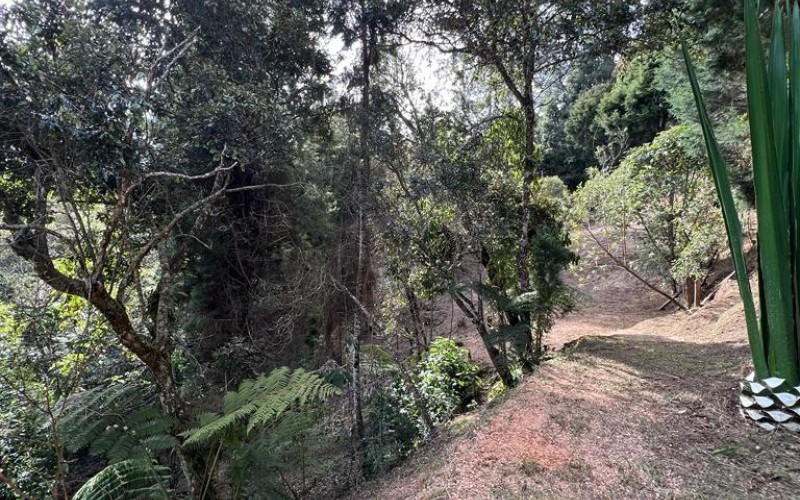 Terreno independiente en Guarne