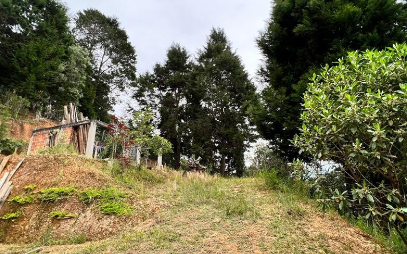 Terreno independiente en Guarne
