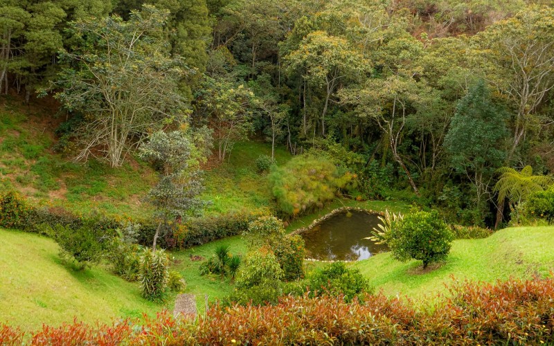Peace, Nature, and Strategic Location in Eastern Antioquia-For Sale and Rent in Sierras de Mayarí, Rionegro
