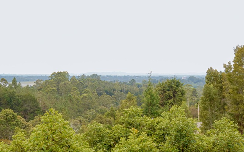 Peace, Nature, and Strategic Location in Eastern Antioquia-For Sale and Rent in Sierras de Mayarí, Rionegro